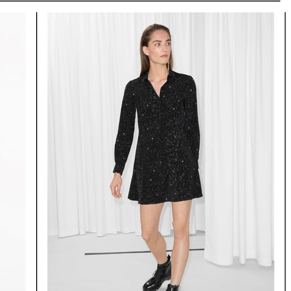 & Other Stories Dresses & Skirts - & Other Stories Dress Fit & Flare Shirt Dress Size 8
